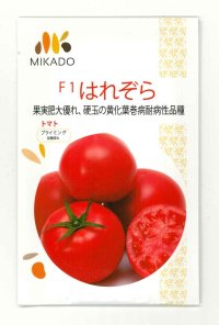 送料無料　[トマト]　大玉トマト　はれぞら　1000粒　ヴィルモランみかど（株）