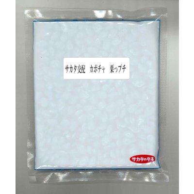 画像1: 送料無料 [かぼちゃ] 栗っプチ 500粒 (株)サカタのタネ