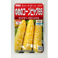 送料無料[とうもろこし] ゆめのコーンビッグ85 約55粒 （株）サカタのタネ 実咲450(004023)