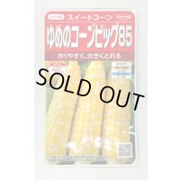 [とうもろこし] ゆめのコーンビッグ85 約55粒 (株)サカタのタネ 実咲450(004023)