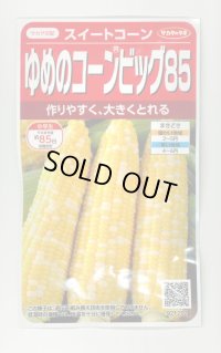 [とうもろこし] ゆめのコーンビッグ85 約55粒 (株)サカタのタネ 実咲450(004023)