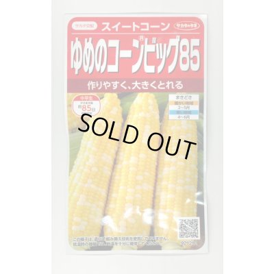 画像1: [とうもろこし] ゆめのコーンビッグ85 約55粒 (株)サカタのタネ 実咲450(004023)