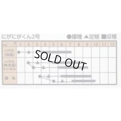 画像3: [ゴーヤ] にがにがくん２号 10粒 トキタ種苗(株)
