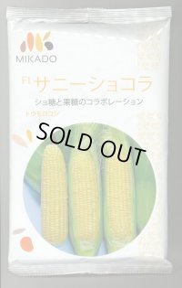 [とうもろこし]　サニーショコラ　2000粒　ヴィルモランみかど（株）