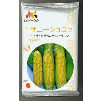 画像1: [とうもろこし]　サニーショコラ　2000粒　ヴィルモランみかど（株）