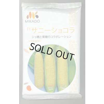 画像1: [とうもろこし] サニーショコラ 2000粒 ヴィルモランみかど（株）