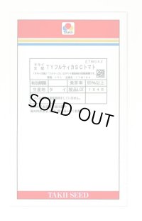 送料無料　[トマト/中玉トマト]　TYフルティカSC　1000粒　タキイ種苗(株)