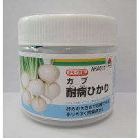  [かぶ] 耐病ひかり　ペレット　5000粒　タキイ種苗(株)