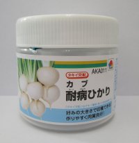  [かぶ] 耐病ひかり　ペレット　5000粒　タキイ種苗(株)