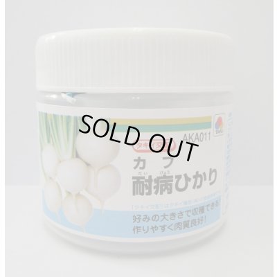 画像1:  [かぶ] 耐病ひかり　ペレット　5000粒　タキイ種苗(株)