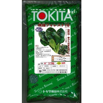 画像1: ほうれんそう　晩抽フォレスト18　（種子サイズM）3万粒　トキタ種苗（株）