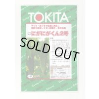 [ゴーヤ] にがにがくん２号 10粒 トキタ種苗(株)