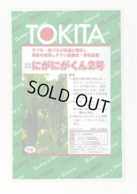 [ゴーヤ] にがにがくん２号 10粒 トキタ種苗(株)