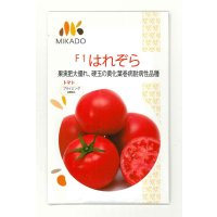 送料無料　[トマト]　大玉トマト　はれぞら　100粒　ヴィルモランみかど（株）