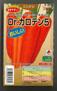 送料無料 [人参] Dr.カロテン5 ペレット種子 2000粒 タキイ種苗(株)