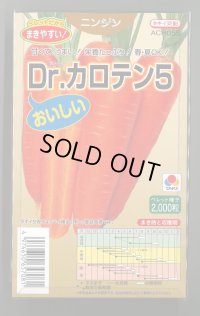 送料無料 [人参] Dr.カロテン5 ペレット種子 2000粒 タキイ種苗(株)