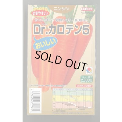 画像1: 送料無料 [人参] Dr.カロテン5 ペレット種子 2000粒 タキイ種苗(株)