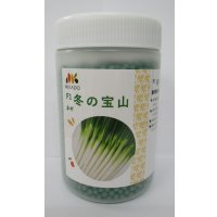 [ねぎ]　冬の宝山　ペレット種子6000粒　ヴィルモランみかど（株）
