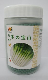 [ねぎ]　冬の宝山　ペレット種子6000粒　ヴィルモランみかど（株）