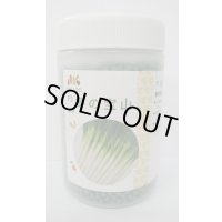 [ねぎ]　冬の宝山　ペレット種子6000粒　ヴィルモランみかど（株）