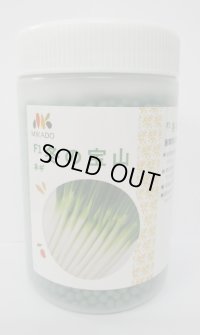 [ねぎ]　冬の宝山　ペレット種子6000粒　ヴィルモランみかど（株）