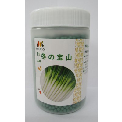 画像1: [ねぎ]　冬の宝山　ペレット種子6000粒　ヴィルモランみかど（株）