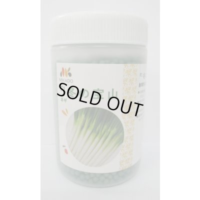 画像1: [ねぎ]　冬の宝山　ペレット種子6000粒　ヴィルモランみかど（株）