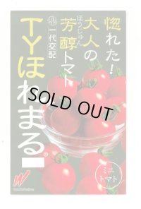送料無料　[トマト/ミニトマト]　TYほれまる　500粒　渡辺農事（株）
