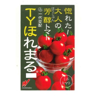 画像1: 送料無料　[トマト/ミニトマト]　TYほれまる　500粒　渡辺農事（株）