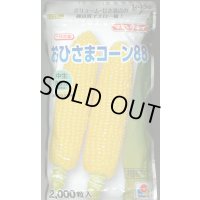 [とうもろこし] おひさまコーン88 2000粒 タキイ種苗(株)