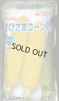 [とうもろこし] おひさまコーン88 2000粒 タキイ種苗(株)