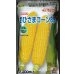 画像1: [とうもろこし] おひさまコーン88 2000粒 タキイ種苗(株) (1)