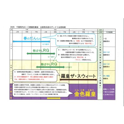 画像5: 送料無料　[スイカ]　大玉スイカ　金色羅皇　5粒　ナント種苗(株)