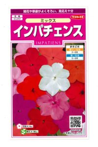 送料無料　花の種　インパチェンス　ミックス　約50粒　(株)サカタのタネ　実咲350　（206034）