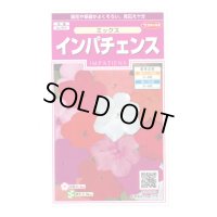 花の種 インパチェンス ミックス 約50粒 (株)サカタのタネ 実咲350 (206034)