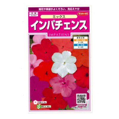 画像1: 送料無料　花の種　インパチェンス　ミックス　約50粒　(株)サカタのタネ　実咲350　（206034）