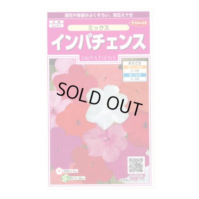 画像1: 花の種 インパチェンス ミックス 約50粒 (株)サカタのタネ 実咲350 (206034)