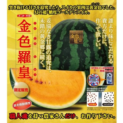 画像3: 送料無料　[スイカ]　大玉スイカ　金色羅皇　100粒　ナント種苗(株)