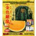 画像3: 送料無料　[スイカ]　大玉スイカ　金色羅皇　100粒　ナント種苗(株) (3)