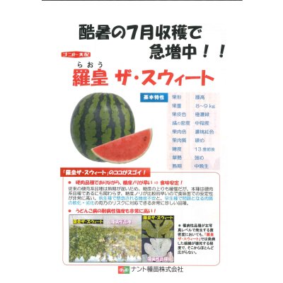 画像5: 送料無料　[スイカ]　大玉スイカ　羅皇ザ・スイート　5粒　ナント種苗(株)