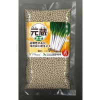 送料無料[ねぎ]　元蔵　ペレット種子5千粒　（株）武蔵野種苗園