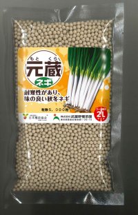 送料無料[ねぎ]　元蔵　ペレット種子5千粒　（株）武蔵野種苗園