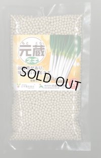 送料無料[ねぎ]　元蔵　ペレット種子5千粒　（株）武蔵野種苗園
