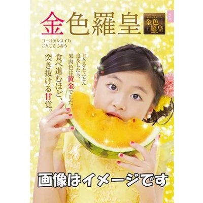 画像2: 送料無料　[スイカ]　大玉スイカ　金色羅皇　100粒　ナント種苗(株)