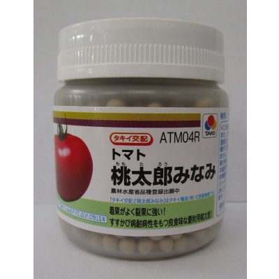 画像1: 送料無料 [トマト/桃太郎系]桃太郎みなみ 2L PL 1000粒 タキイ種苗(株)