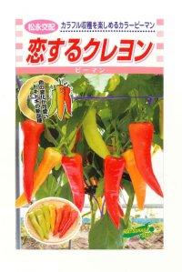 送料無料　[ピーマン]　カラーピーマン　恋するクレヨン　15粒　松永種苗（株）