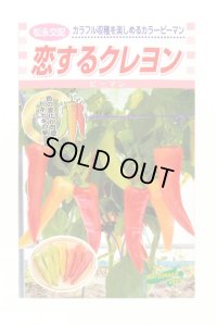 [ピーマン] カラーピーマン 恋するクレヨン 15粒 松永種苗（株）