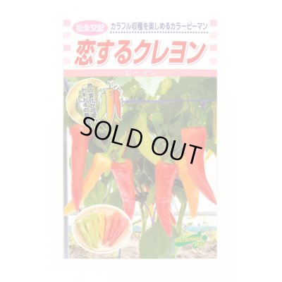 画像1: [ピーマン] カラーピーマン 恋するクレヨン 15粒 松永種苗（株）