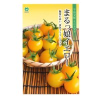送料無料　[トマト/ミニトマト]　ミニトマト　まるっ娘イエロー　9粒　丸種（株）