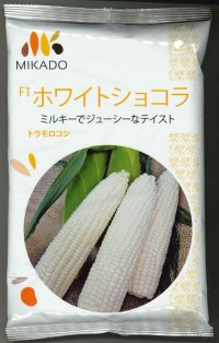 [とうもろこし]　ホワイトショコラ　2000粒　ヴィルモランみかど（株）
